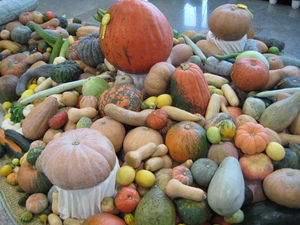 https://upload.wikimedia.org/wikipedia/commons/4/40/Cucurbits_%28Cucurbitaceae%29.jpg