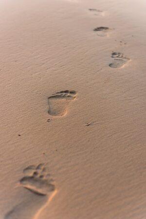 https://img.freepik.com/premium-photo/human-footprints-beach-sand_70898-3234.jpg