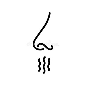 https://thumbs.dreamstime.com/b/nose-breath-icon-nasal-breathing-human-organ-smell-unpleasant-smell-nose-inhales-fragrance-outline-icon-vector-illustration-238677209.jpg