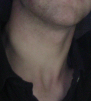 https://upload.wikimedia.org/wikipedia/commons/6/6a/Neck.png