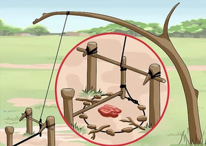 https://www.wikihow.com/images/thumb/4/41/Make-a-Snare-Trap-Step-18-Version-2.jpg/v4-460px-Make-a-Snare-Trap-Step-18-Version-2.jpg.webp