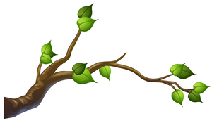 https://static.vecteezy.com/system/resources/previews/000/373/488/original/tree-branch-on-white-background-vector.jpg