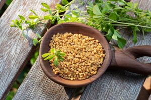 https://plantura.garden/uk/wp-content/uploads/sites/2/2022/04/fenugreek-seeds-leaves.jpg