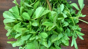 https://upload.wikimedia.org/wikipedia/commons/b/be/Aesthetic_bunch_of_fenugreek_greens.jpg