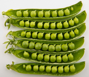 https://en.wikipedia.org/wiki/pea