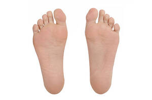 https://media.istockphoto.com/id/151564651/nl/foto/sole-of-foot-pair.jpg?s=612x612&w=0&k=20&c=JAWs57Ccx8lfVYzpN-pFrgcP0fkt7a25bP_bgB0p6wU=