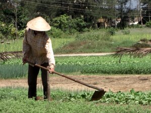 https://upload.wikimedia.org/wikipedia/commons/4/41/Peasant_in_the_vegetable_garden.JPG