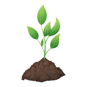 https://img.freepik.com/premium-vector/bunch-fertile-black-soil-growing-green-plant-sprout-with-leaves-concept-gardening-sowing-vector-isolated-cartoon-illustration_364586-2302.jpg?w=1380