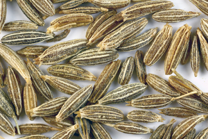 https://upload.wikimedia.org/wikipedia/commons/e/e0/Sa_cumin.jpg