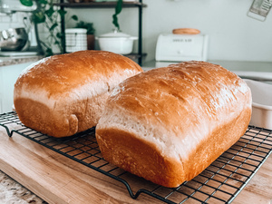 https://gluesticksblog.com/wp-content/uploads/2020/03/amish-white-bread-2.jpg