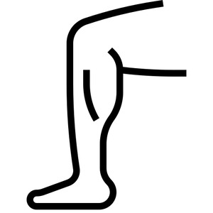 https://www.flaticon.com/free-icon/leg_5850570