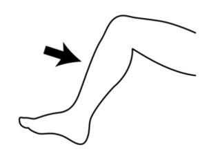 https://www.abcteach.com/resource/clip-art-parts-of-the-body-shin-bw-unlabeled/