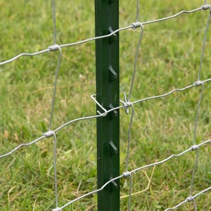 https://www.homedepot.com/p/Everbilt-1-3-4-in-x-3-1-2-in-x-5-ft-Green-Steel-Fence-T-Post-with-Anchor-Plate-901174EB/205960890